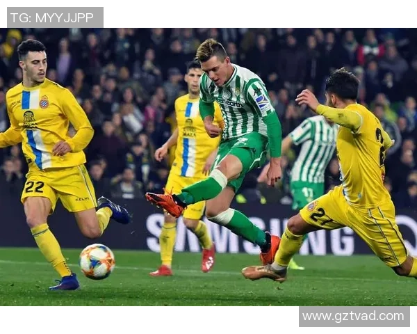 诺丁汉森林迎战西布罗姆维奇力争主场胜利展现球队实力